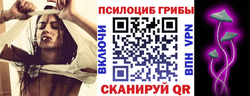 наркошоп  ссылка на мегу ТОР  Псилоцибиновые грибы GOLDEN TEACHER  Кыштым 